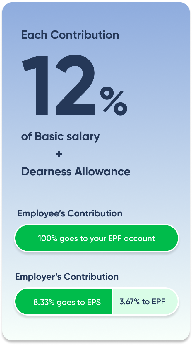 Contribution Infograph